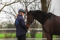 Jong paard, zadelmak maken, paard beleren