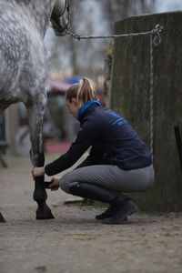 Peeskappen omdoen, springpaard